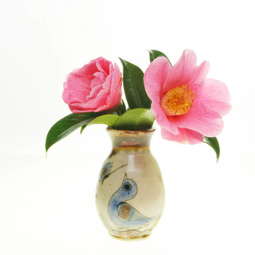 山茶花在花瓶