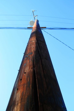 電線桿