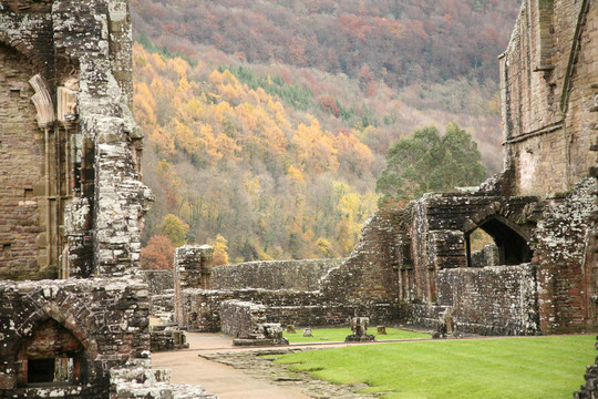 Tintern Abbey在秋天