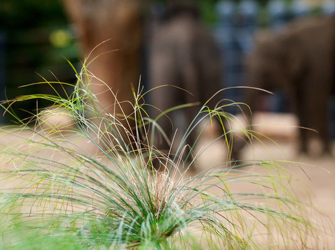 zoo48