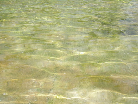 水