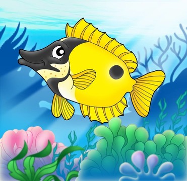 foxfish海葵