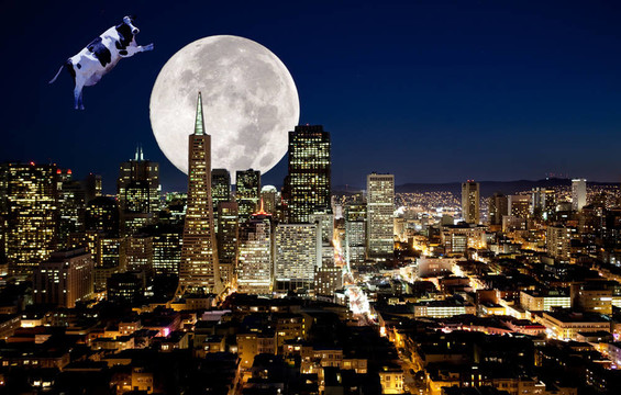 牛跳Moon