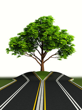 道路中間的樹