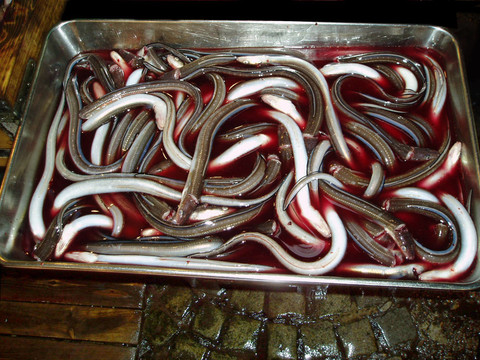 鰻魚在碗