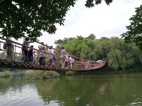 深圳東湖公園鐵索橋