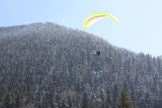飛過高山