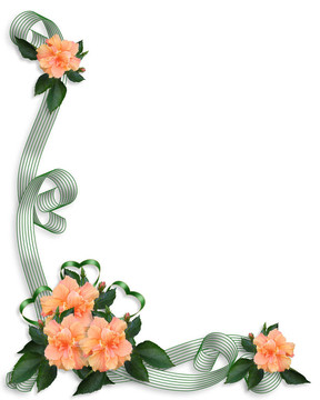 花邊邀請芙蓉