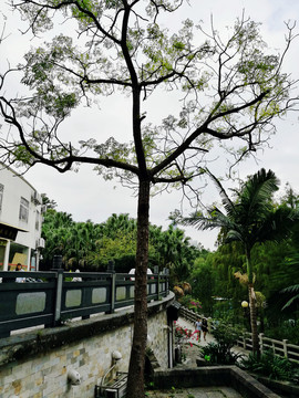 深圳東湖公園