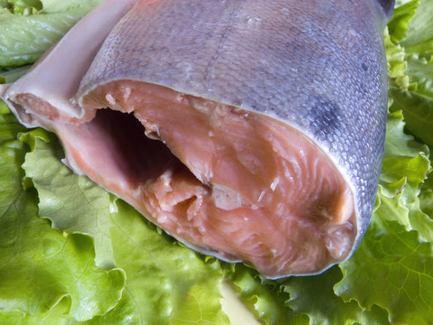 新鮮綠色魚從廚房綠色離開
