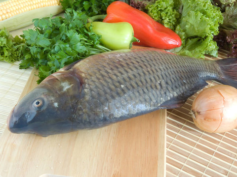 鯉魚魚特寫在砍板上