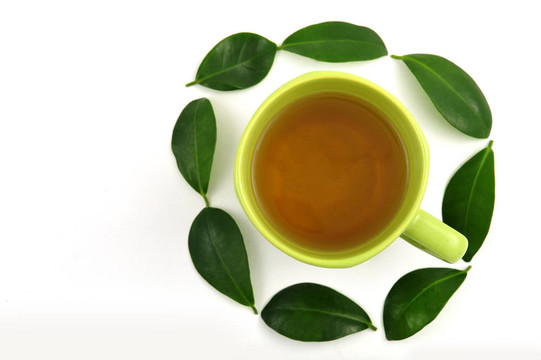 茶的概念