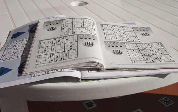 數(shù)獨的書