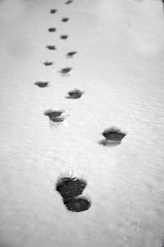 腳步在雪中