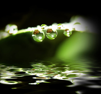 水滴背景