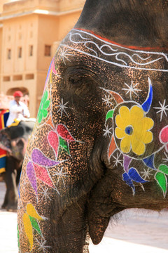 大象騎- Amber Fort；齋浦爾；印度