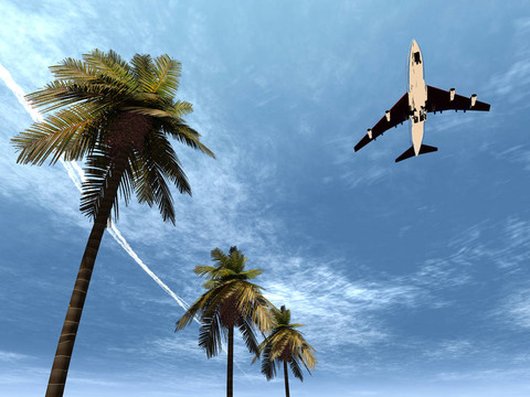 飛機(jī)飛行