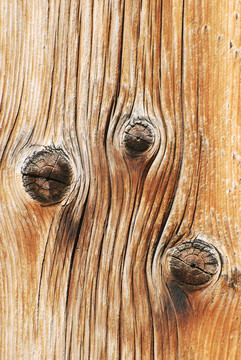 風化的Wood