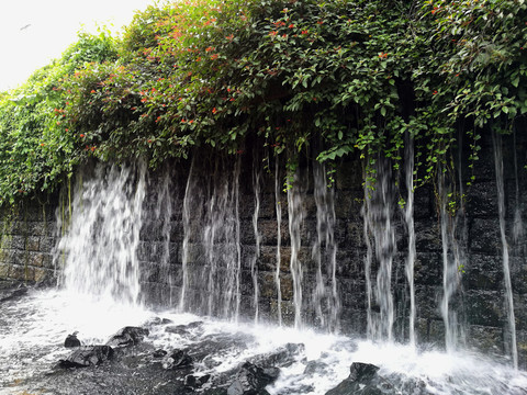 深圳東湖公園景區(qū)