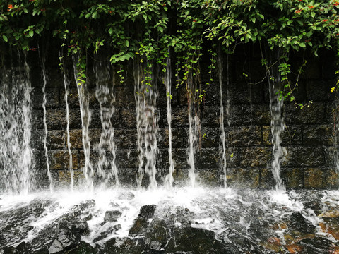 深圳東湖公園風(fēng)景