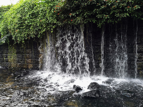 深圳東湖公園風景