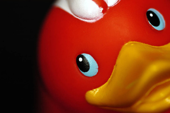 橡膠Racing Duck