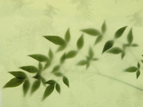 樹(shù)葉和蕨類(lèi)植物紙