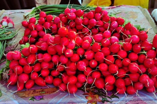 春天的第一個(gè)蔬菜