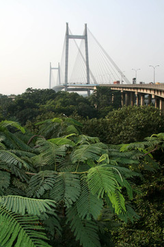 胡格利河大橋；加爾各答；印度