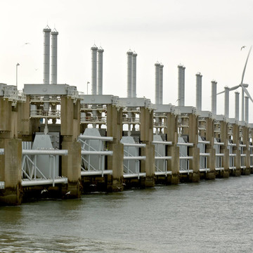 在Oosterschelde風(fēng)暴屏障海鷗