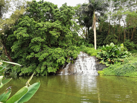 深圳羅湖東湖公園美景