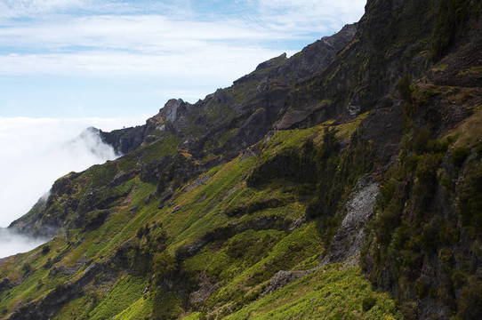 山