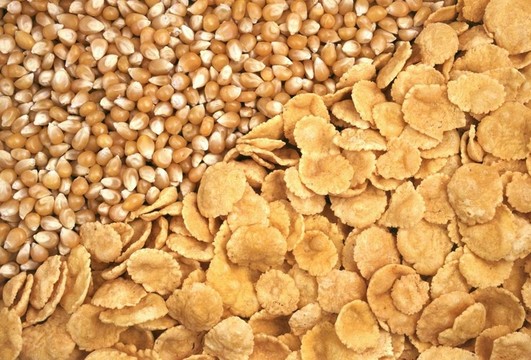 玉米種子和玉米片