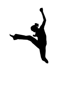 跳躍的武術(shù)藝術(shù)家