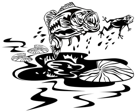 Bass捉青蛙