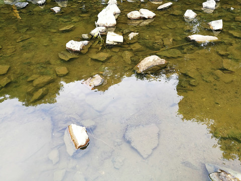 深圳東湖公園清澈河水