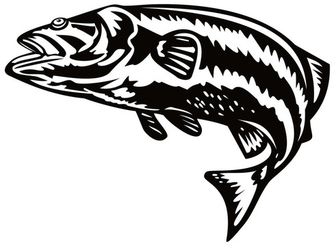 鱸魚跳躍