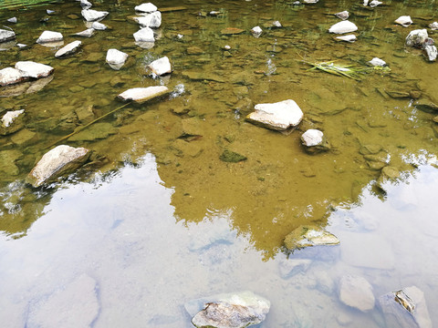 深圳東湖公園清澈河水