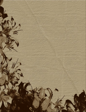 紙花邊