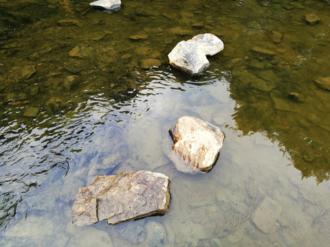 深圳東湖公園清澈河水