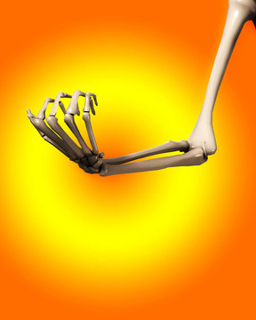 骨手和臂4