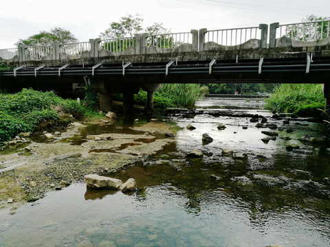 深圳東湖公園風(fēng)景