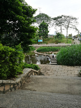 深圳東湖公園風(fēng)景