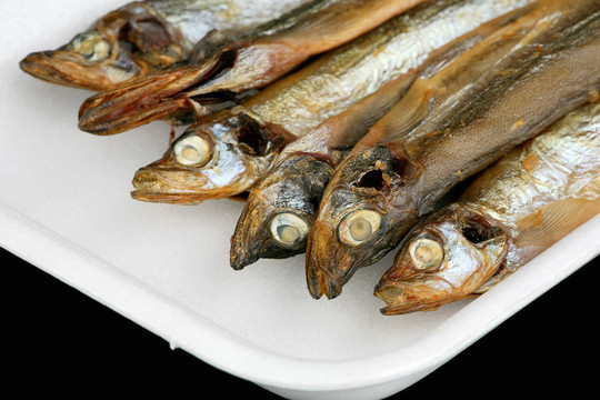 毛鱗魚