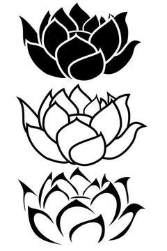 蓮花