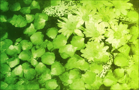 純真在大自然中畫了花