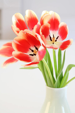 郁金香花瓶