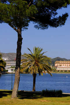 公園