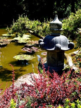 有雕像和花的池塘