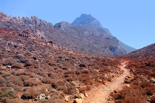 山